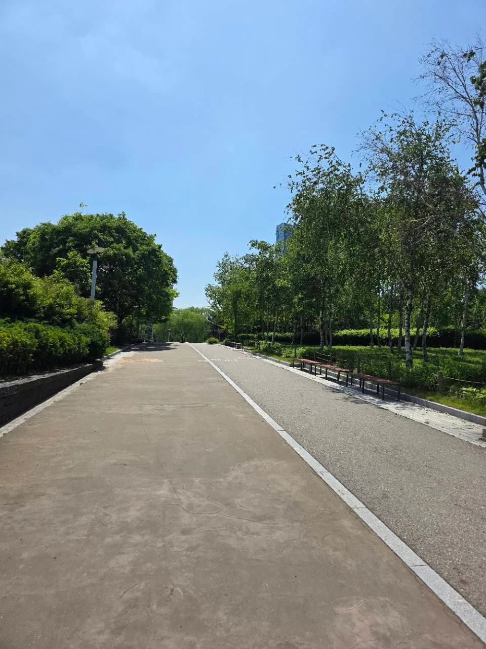 송도 센트럴파크 보행로와 자전거길