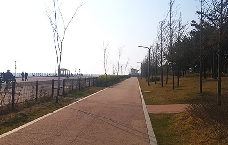 송도 솔찬공원 주차·해안 산책로|화장실과 공원 이용 정보