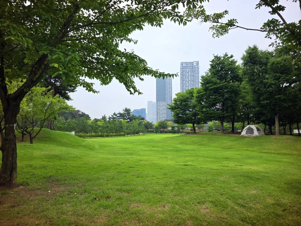 센트럴파크 그늘막 지정 잔디 공간 센트럴파크 그늘막 지정소 잔디 공간