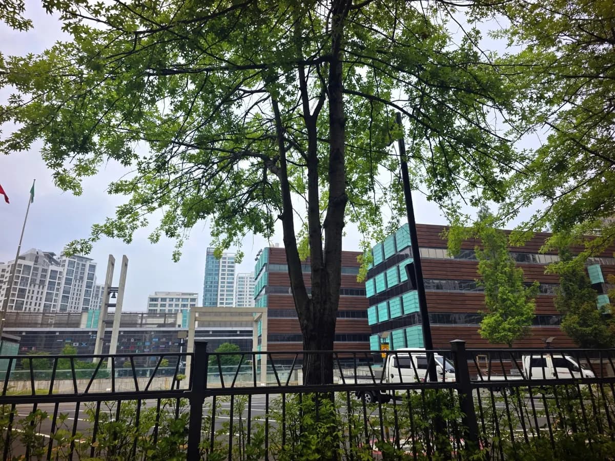 보행로와 도로 건너편에서 본 채드윅 국제학교 캠퍼스 보행로 건너편에서 바라본 채드윅 국제학교 캠퍼스